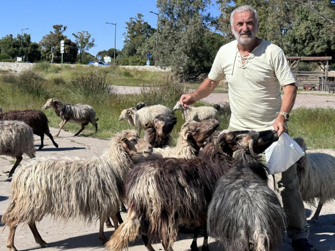José Acquaviva : le berger de Montemaiò portera la flamme olympique à Corte