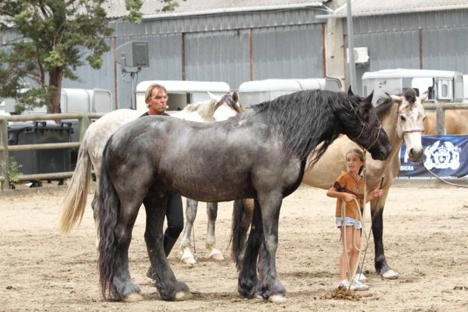 Corte : Le succès au rendez-vous de Cavall’in Festa