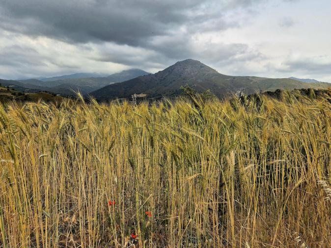 La météo du jour en Corse