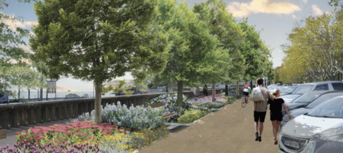 Bastia : Quels arbres planter pour remplacer les palmiers de la place Saint-Nicolas ? C'est à vous de choisir Bastia : Quels arbres planter pour remplacer les palmiers de la place Saint-Nicolas ? C'est à vous de choisir