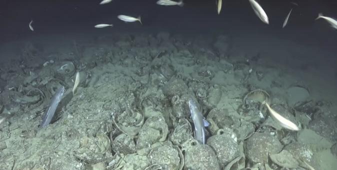 À la découverte des épaves du Cap Corse, un sanctuaire pour la biodiversité marine À la découverte des épaves du Cap Corse, un sanctuaire pour la biodiversité marine