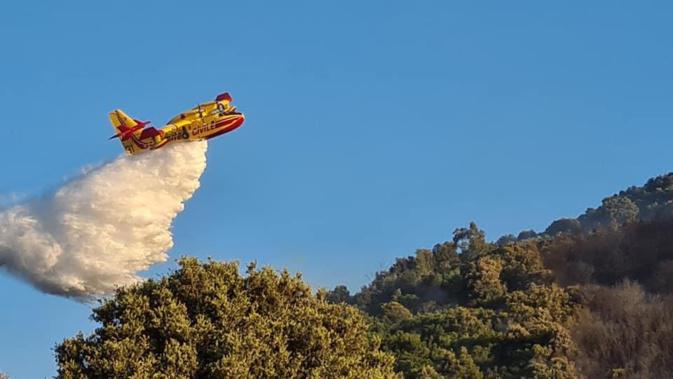 Incendie à Castello-di-Rostino : 2 hectares brûlés et des dizaines d'hectares menacées