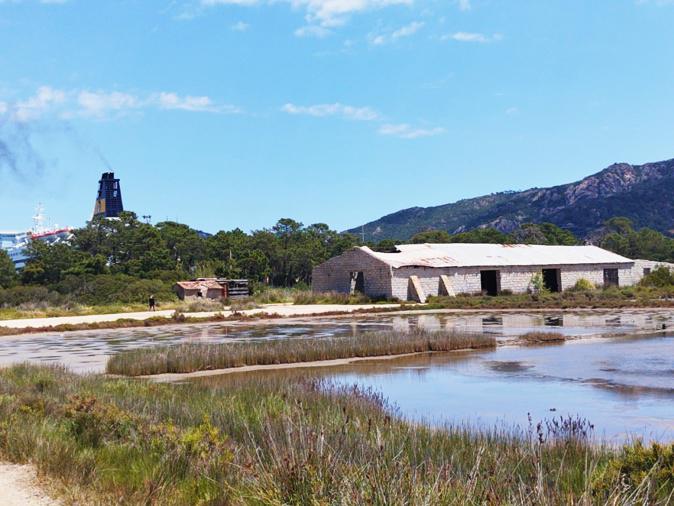 Porto-Vecchio : vers une reprise de l’exploitation du sel dans les marais salants ?