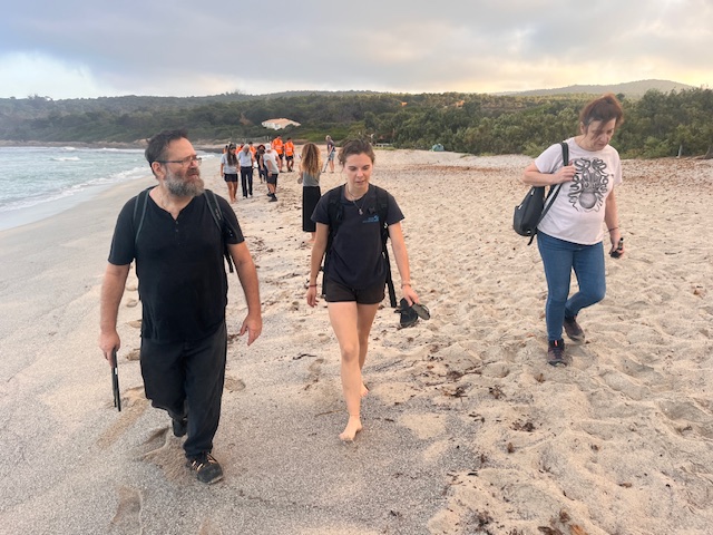 ​Des plages ajacciennes se préparent à accueillir des nids de tortues caouannes : des "patrouilles" pour les protéger