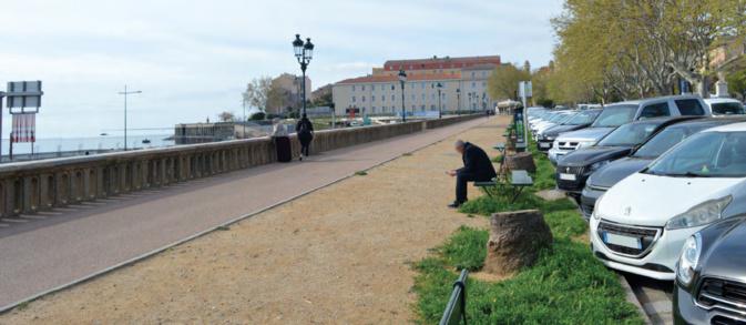 Bastia : Quels arbres ont été choisis pour remplacer les palmiers de la place Saint-Nicolas ?