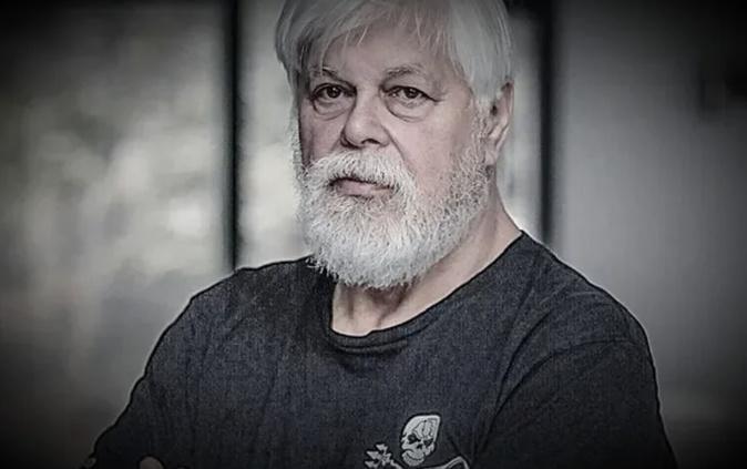 Arrestation de Paul Watson : En Corse, Global Earth Keeper se mobilise pour libérer le défenseur des baleines