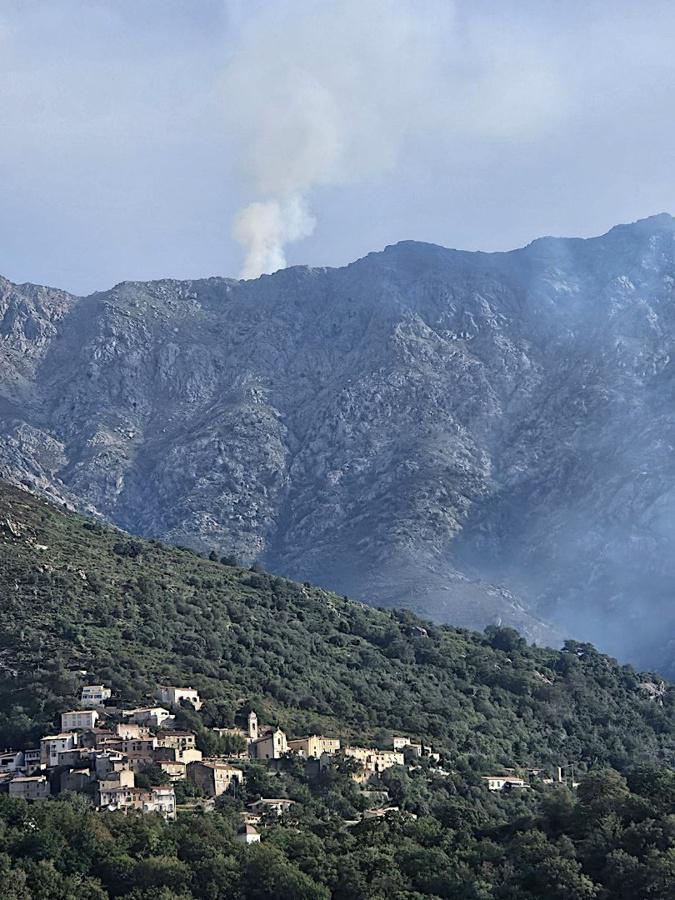 Pioggiola : le feu a parcouru 5 hectares sous le mont San Parteo Pioggiola : le feu a parcouru 5 hectares sous le mont San Parteo