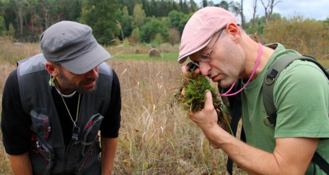 Aiacciu accueille 250 experts pour les 4e rencontres nationales des Conservatoires Botaniques