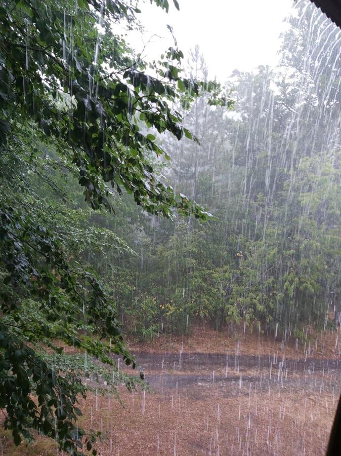 Météo : les cours d'eau de la Corse-du-Sud sous surveillance