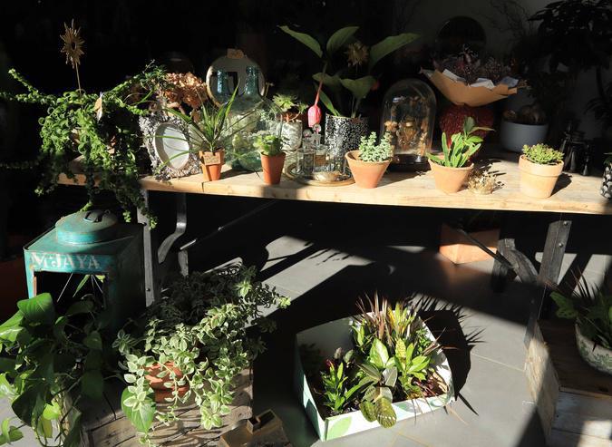 Poghju di Venacu : La Pépinière du Centre fête ses dix ans Poghju di Venacu : La Pépinière du Centre fête ses dix ans