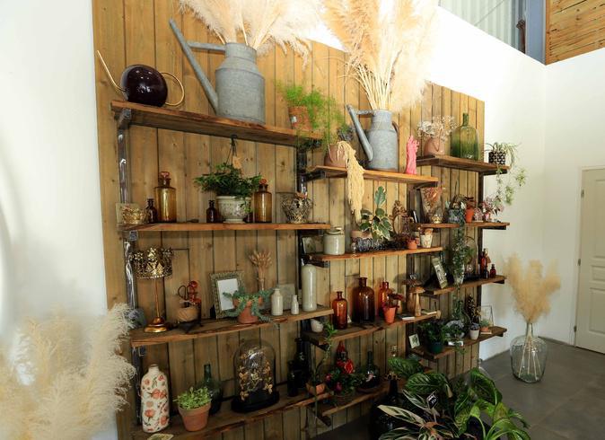 Poghju di Venacu : La Pépinière du Centre fête ses dix ans Poghju di Venacu : La Pépinière du Centre fête ses dix ans