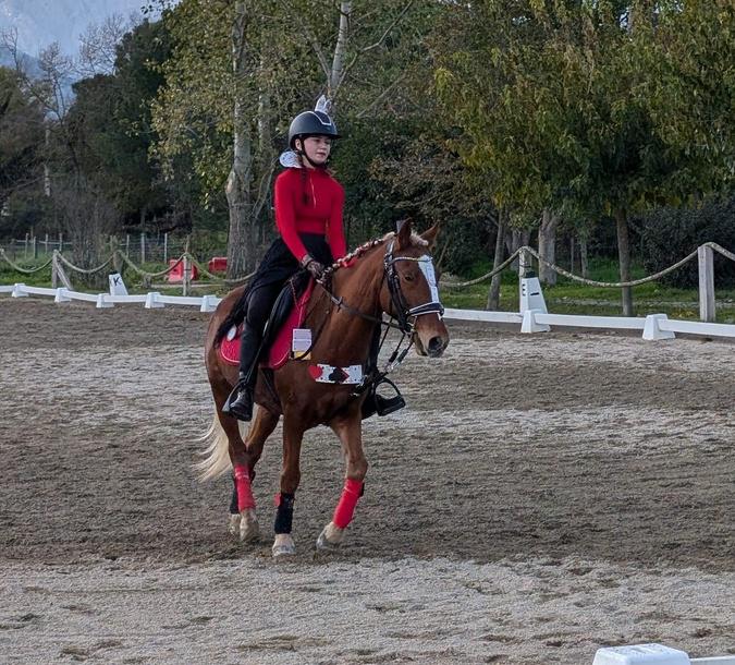 Poggio di Venaco : Une belle réussite pour la deuxième étape du circuit régional de dressage 