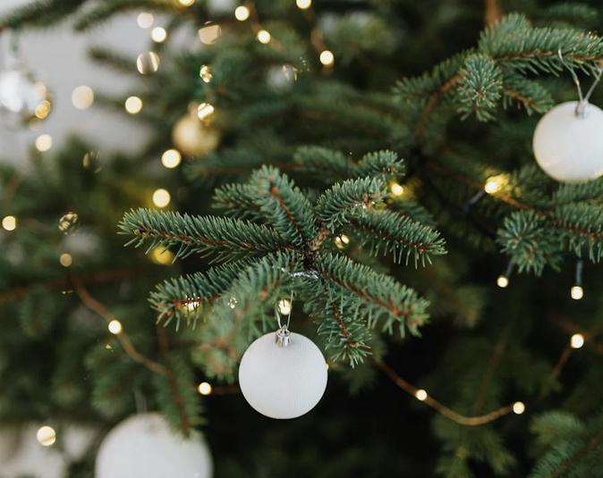 Grand Bastia : une collecte pour ramasser vos sapins de Noël jusqu’au 11 janvier 2025 Grand Bastia : une collecte pour ramasser vos sapins de Noël jusqu’au 11 janvier 2025