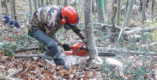 Sartène : Le CFPPA lance deux nouvelles formations pour répondre aux besoins du territoire Sartène : Le CFPPA lance deux nouvelles formations pour répondre aux besoins du territoire