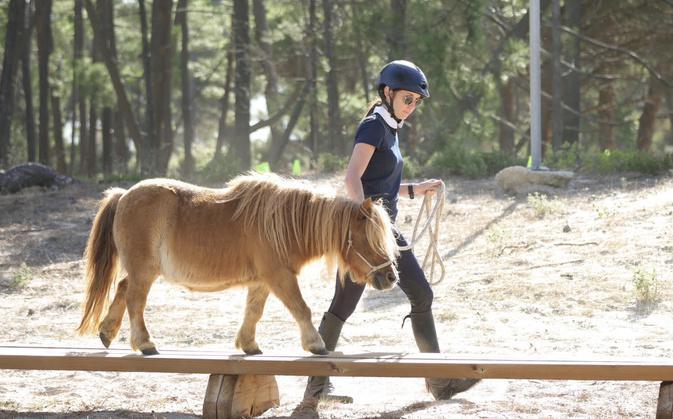 Lozari : un concours de Mountain Trail pour soutenir les équidés en détresse Lozari : un concours de Mountain Trail pour soutenir les équidés en détresse
