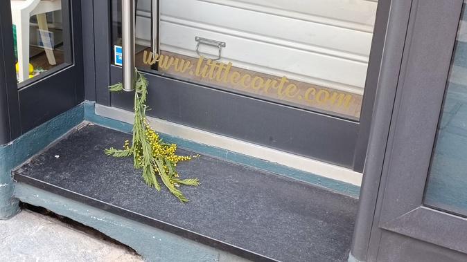 Corte endeuillée après la mort de Chloé Corte endeuillée après la mort de Chloé