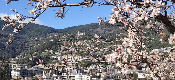 La photo du jour : Santa Lucia di e Ville di Petrabugnu