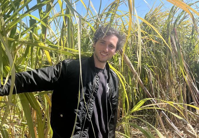 À Aleria, la canne à sucre prend racine : un pari agricole plein d’avenir À Aleria, la canne à sucre prend racine : un pari agricole plein d’avenir