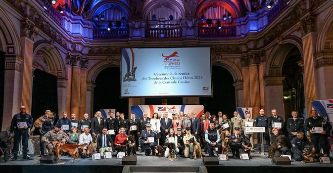 Thor, le chien héros d’Isolaccio-di-Fiumorbu qui a sauvé son maître, récompensé à Paris