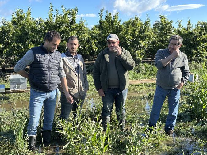 Crues du Golo : la colère monte chez les agriculteurs