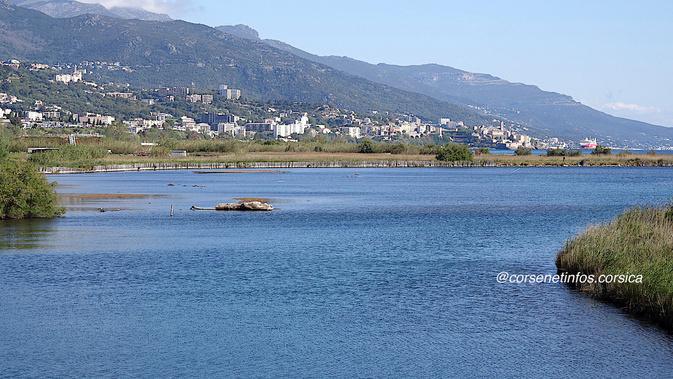 A màghjina : Bastia vistu da u Lido di Marana