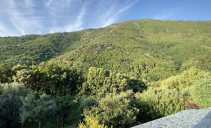 U tempu in Corsica