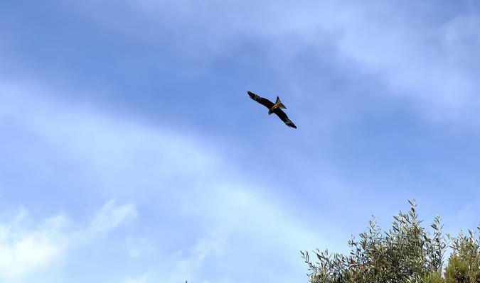 A màghjina : U Filanciu vola nant'à i paisaghji di Corsica