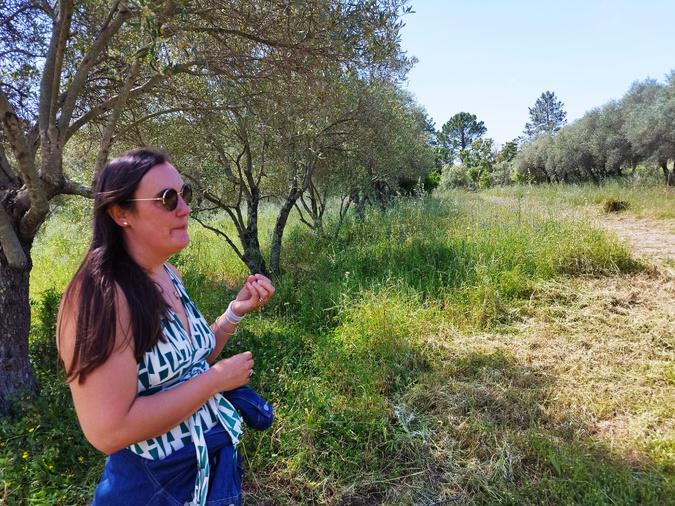 Porto-Vecchio : dans un cadre bucolique, le premier Mercateddu de l’Alma Salvatica a pris date une fois par mois Porto-Vecchio : dans un cadre bucolique, le premier Mercateddu de l’Alma Salvatica a pris date une fois par mois