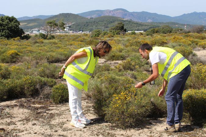 La biodiversité aussi prend l’air : mission nature à l’aéroport d’Ajaccio