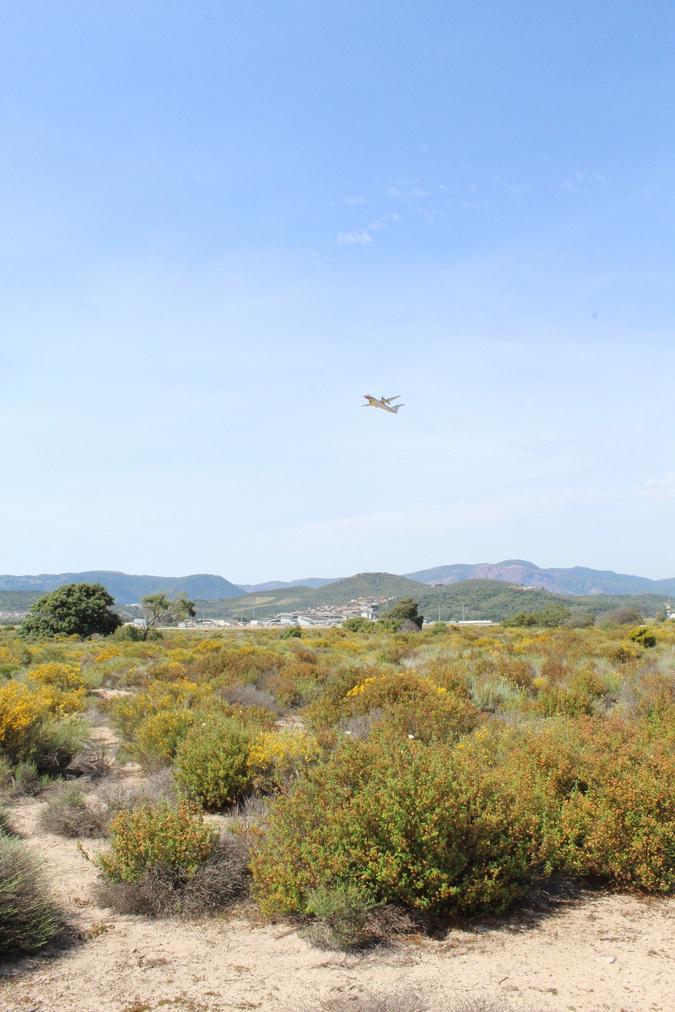 La biodiversité aussi prend l’air : mission nature à l’aéroport d’Ajaccio