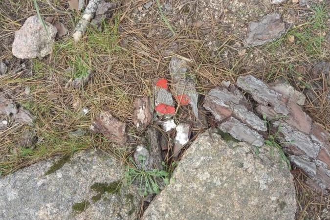 Des actes de vandalisme constatés sur le GR20 entre Asinau et Paliri