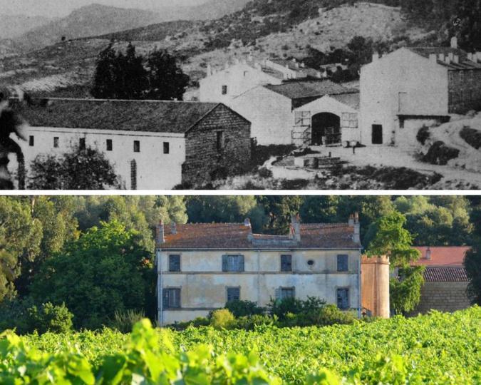 Un hôtel-restaurant planté au milieu des vignes : la belle histoire familiale du domaine de Saparale Un hôtel-restaurant planté au milieu des vignes : la belle histoire familiale du domaine de Saparale
