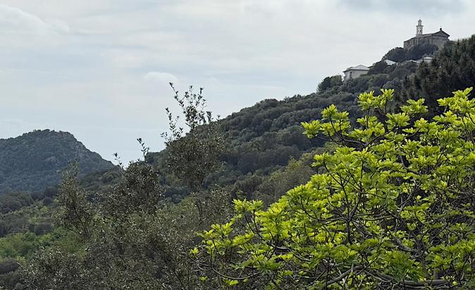U tempu in Corsica