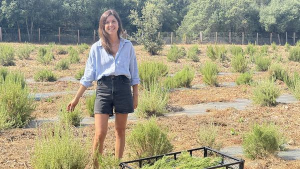 Balagne : Antonia Simeoni fait rimer plantes corses et bien-être Balagne : Antonia Simeoni fait rimer plantes corses et bien-être