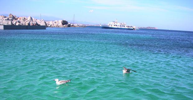 Le coup de colère des pêcheurs de Bonifacio : ils bloquent le passage des Bouches Le coup de colère des pêcheurs de Bonifacio : ils bloquent le passage des Bouches