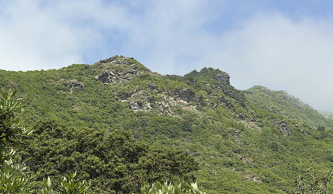 U tempu in Corsica