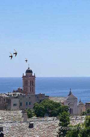 Bastia : I scrilacchji de retour Bastia : I scrilacchji de retour