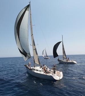 Voile : Carlô de Charles Viale remporte la 8e Regata Capicorsina