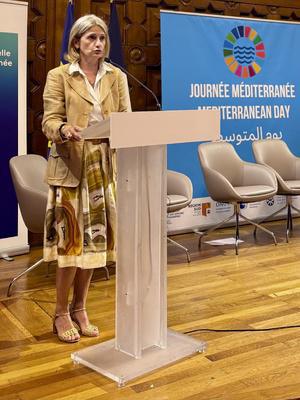 Nanette Maupertuis : « Il est essentiel que le Pacte pour les océans prenne en compte les territoires insulaires »