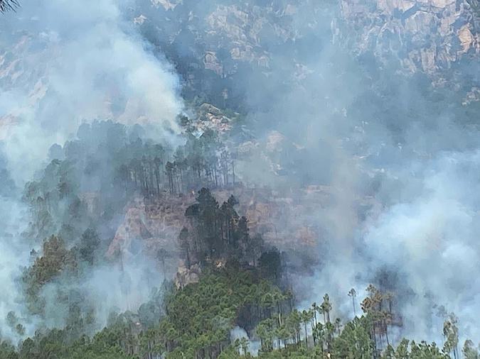 Incendie de Tova : une "indifférence" qui inquiète u Cullettivu per a furesta corsa