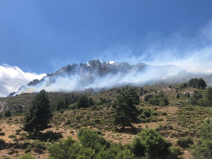 VIDÉO - Incendies : 30 hectares détruits par le feu à Calasima VIDÉO - Incendies : 30 hectares détruits par le feu à Calasima