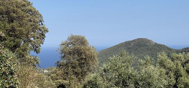 Au Cap Corse, le bonheur est entre mer et montagne Au Cap Corse, le bonheur est entre mer et montagne