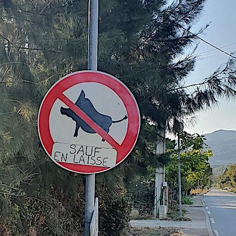 Vol insolite à Casaperta : le panneau “Interdit aux sangliers (sauf en laisse)” a disparu !