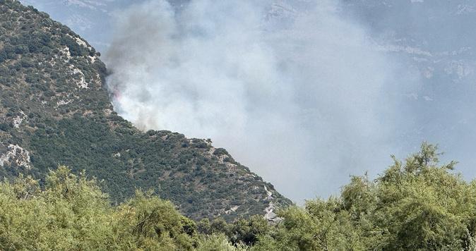 Encore des incendies entre Oletta et Poggio d’Oletta Encore des incendies entre Oletta et Poggio d’Oletta