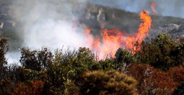 Arbori : un incendie détruit 3000 m2 de végétation