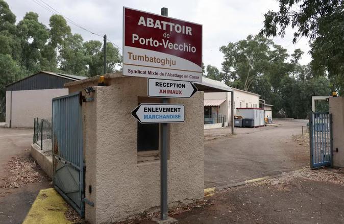 Le préfet suspend l’activité de l’abattoir de Porto-Vecchio