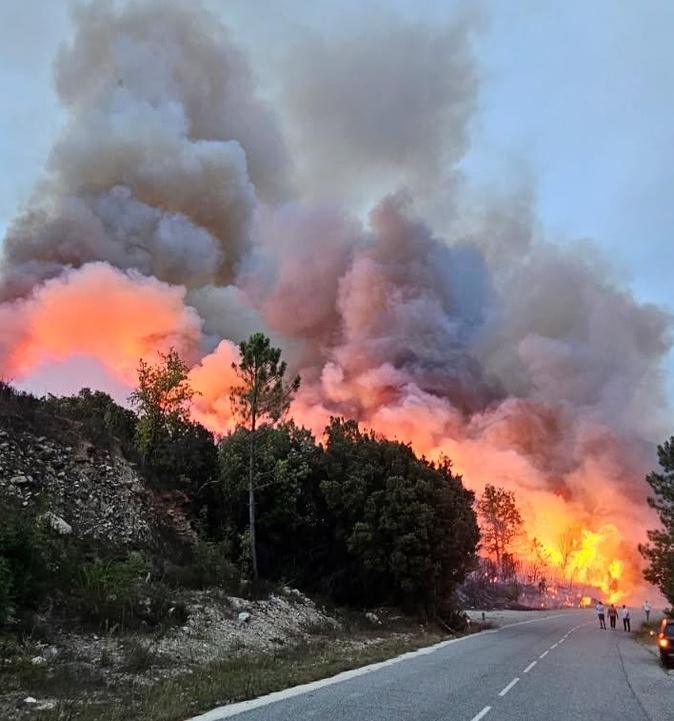 Venaco : un feu de forêt mobilise d’importants moyens