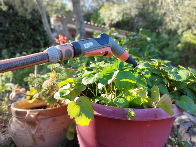 En pleine alerte sécheresse, imbroglio autour de l'arrosage et des forages privés à Porto-Vecchio En pleine alerte sécheresse, imbroglio autour de l'arrosage et des forages privés à Porto-Vecchio