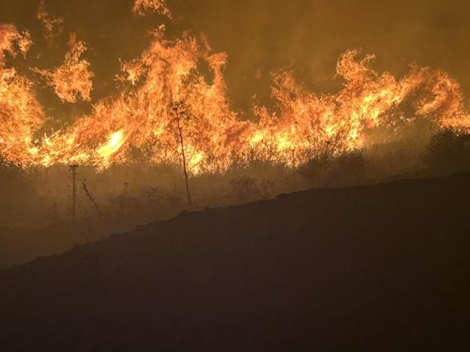 Tempête Benjamin : 17 feux de forêt en Haute-Corse, dont 14 d’origine malveillante