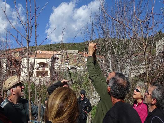 Mazzola : Un verger conservatoire pour les pommiers anciens Mazzola : Un verger conservatoire pour les pommiers anciens